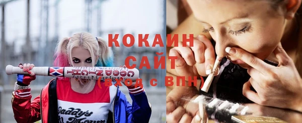 дурь Гусиноозёрск