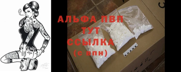 мяу мяу мука Гусь-Хрустальный