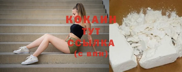 дурь Гусиноозёрск