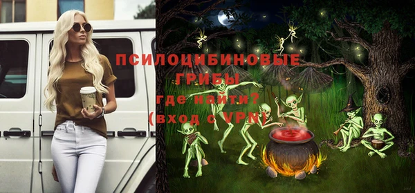 дурь Гусиноозёрск