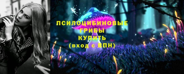 мяу мяу мука Гусь-Хрустальный