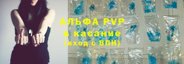мяу мяу мука Гусь-Хрустальный