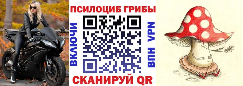 Псилоцибиновые грибы прущие грибы  Купить где  Карасук 